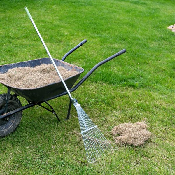 DETHATCHING & SEEDING